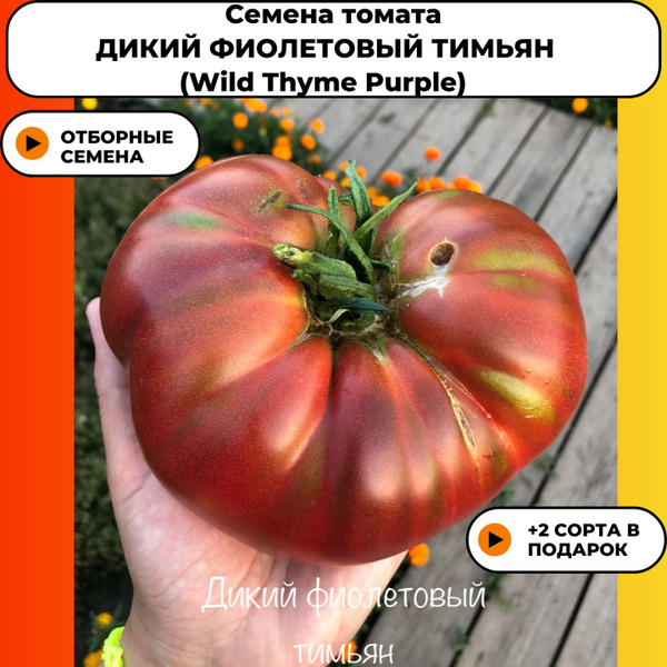 Томаты томат дикий фиолетовый тимьян - купить по выгодным ценам в ...