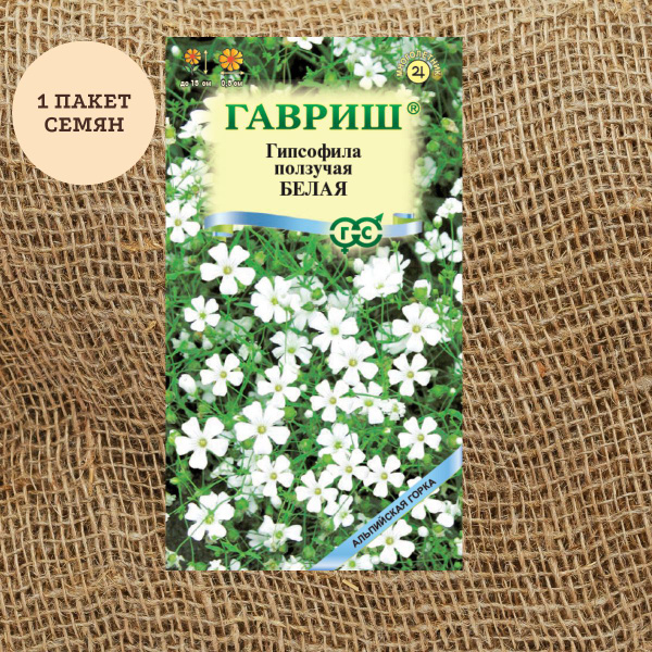 Гипсофилы многолетние Гавриш Гипсофила ползучая, Белая 0,05 г - купить ...