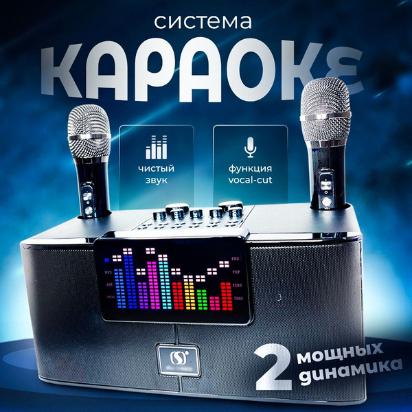 Караоке система VOXORIA с двумя беспроводными микрофонами с функцией ...