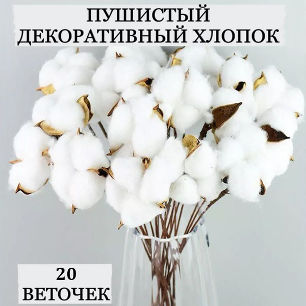Купить Сухоцветы Хлопок, букет из 20 веточек, Белый, 35 см. по выгодной ...
