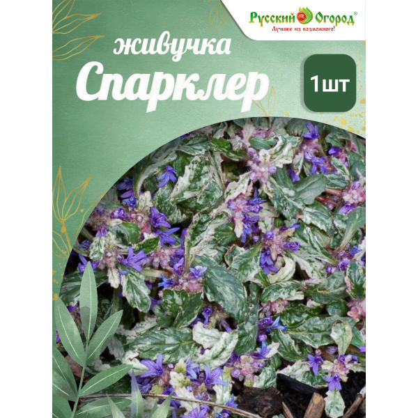 Живучка ползучая Спарклер - купить с доставкой по выгодным ценам в ...