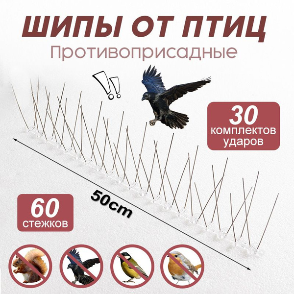 Шипы из нержавеющей стали для защиты от птиц / карнизы для защиты от ...