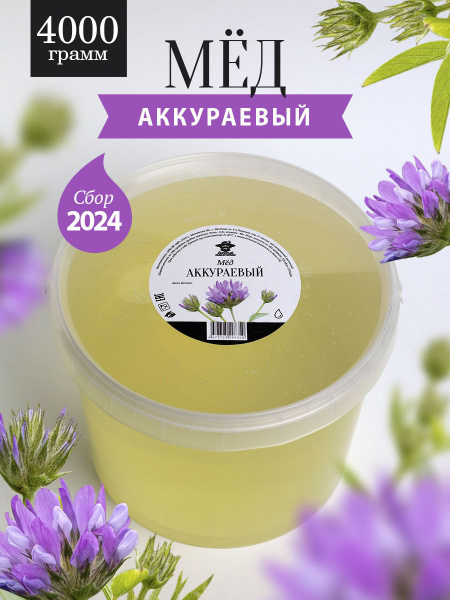 Мед аккураевый жидкий 4000 г, для иммунитета - купить с доставкой по ...