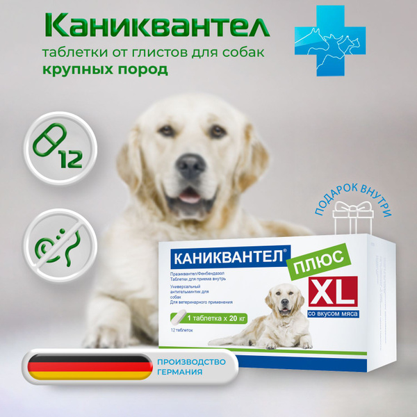 Каниквантел Плюс XL таблетки для крупных собак антигельминтик, 12 ...