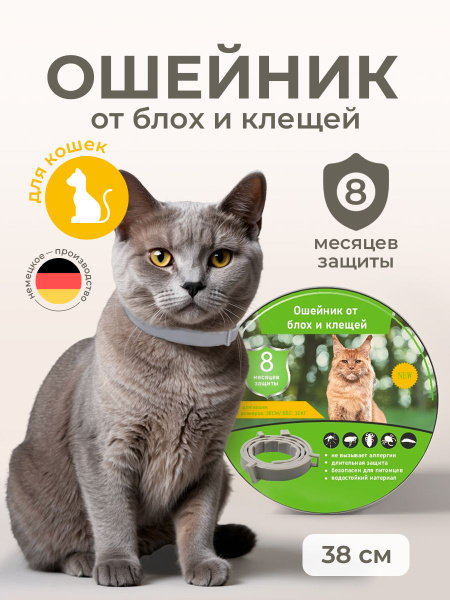 Ошейник от блох и клещей для кошек и котов - купить с доставкой по ...
