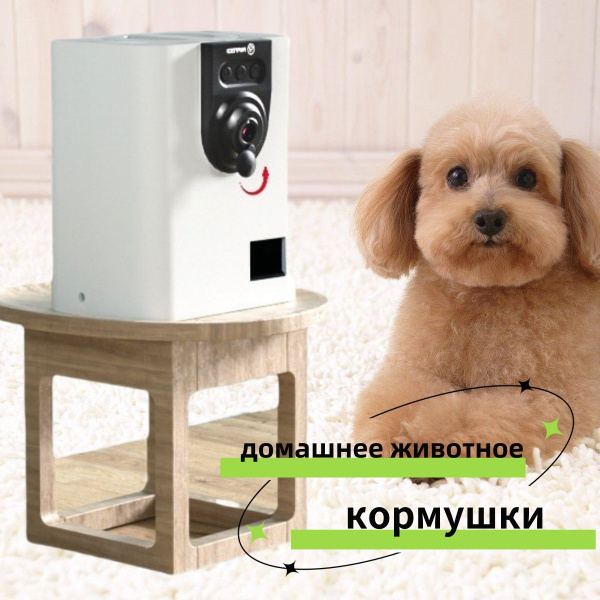 Автокормушка для кошек и собак PET FLAT - купить с доставкой по ...