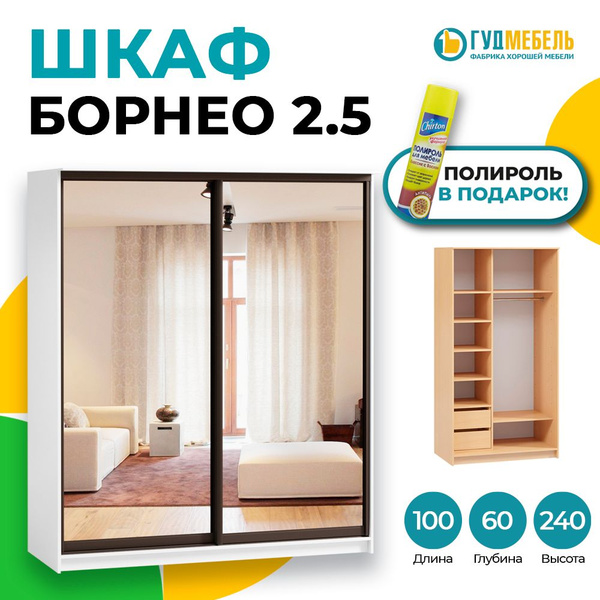 Шкаф-купе Гуд Мебель Борнео-2-5 (Мини) 2.6 В: 100 (40-60), 100x60x240 ...