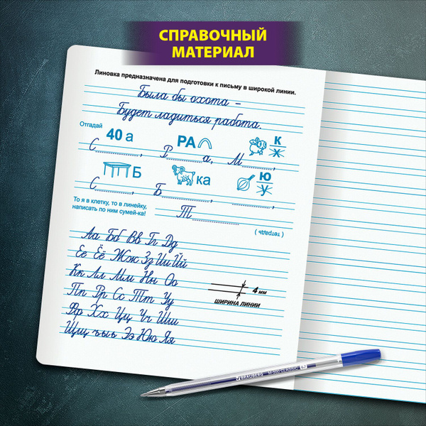Тетрадь в узкую линейку 12 листов для школы набор 10 штук со справочным ...