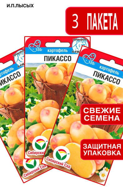 Сибирский сад Картофель Пикассо - купить по выгодным ценам в интернет ...