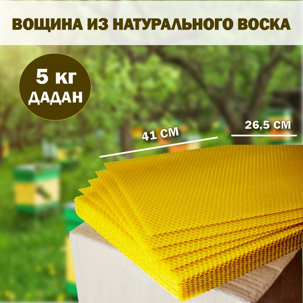 Вощина натуральная Дадан Полумаксимум для пчёл - купить с доставкой по ...