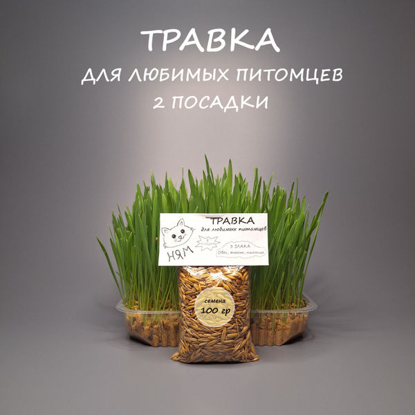 Травка для кошек и собак, 3 злака (овёс, ячмень, пшеница), 2 посадки ...