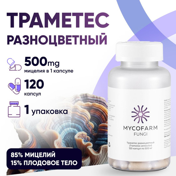 Траметес мицелий 120 капсул по 500 мг (Суперфуд, Trametes versicolor ...