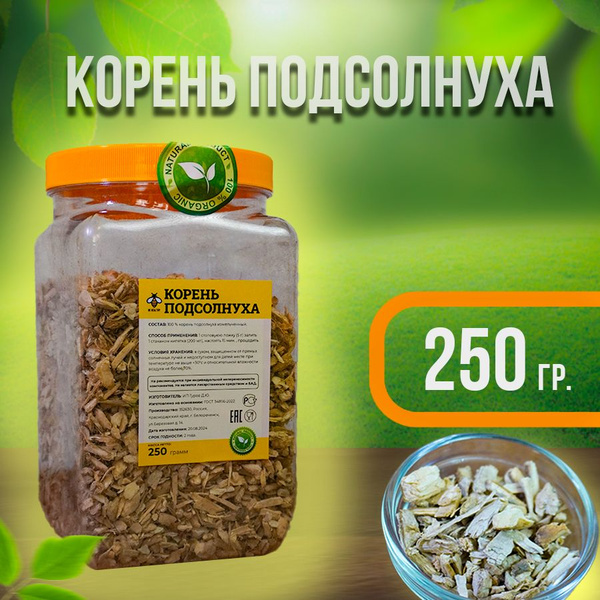 Корень Подсолнуха Купить