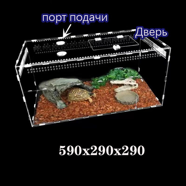 Акриловый террариум для рептилий и насекомых купить на OZON по низкой ...