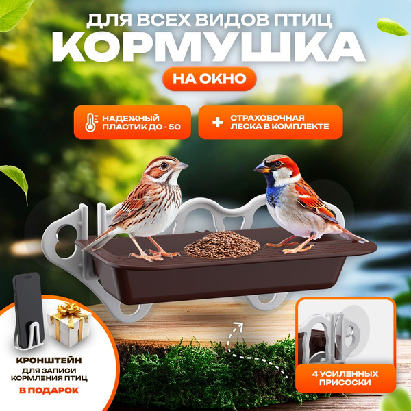 Кормушка для птиц уличная на окно купить на OZON по низкой цене ...