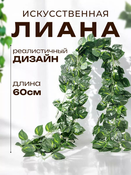 Виноградная лоза лиана декоративная, 60 см купить на OZON по низкой ...