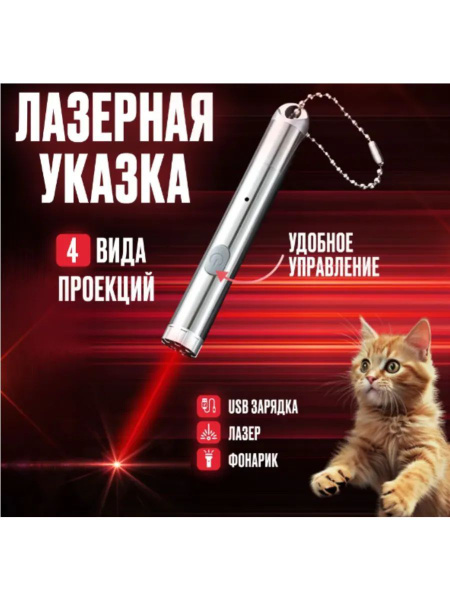 Лазерная указка для кошек и собак купить на OZON по низкой цене ...