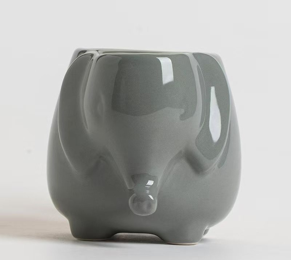 500-c-ozon