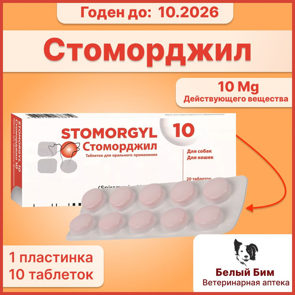 Стоморджил 10 мг 10 таблеток- 1 блистер купить на OZON по низкой цене ...