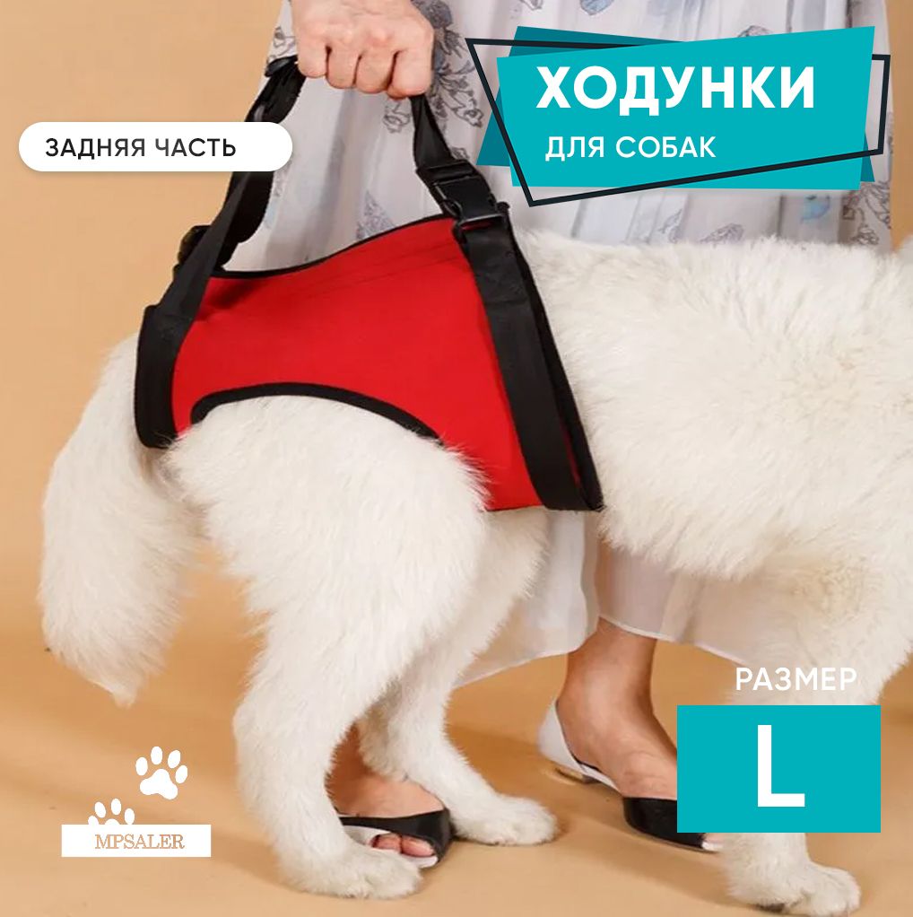 Ходунки для собак