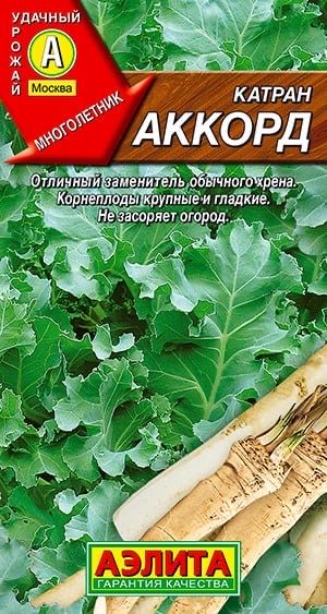 КАТРАН (ХРЕН) АККОРД. Семена. Вес 0,3 гр. Многолетнее растение, известное также как южный (степной, татарский) хрен..