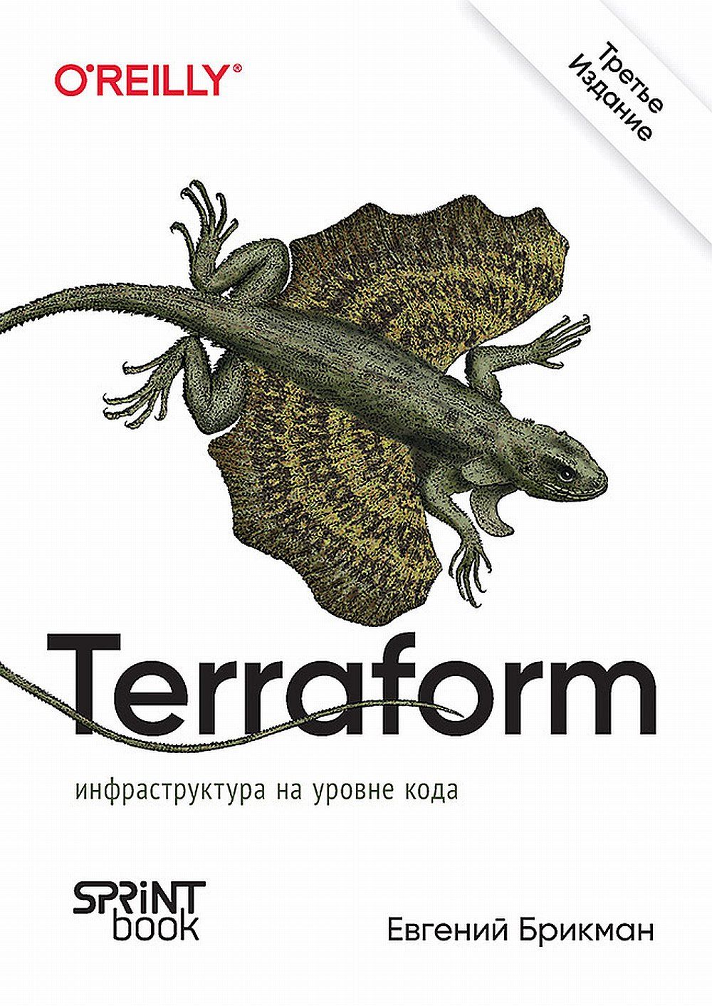 Terraform: инфраструктура на уровне кода | Брикман Евгений