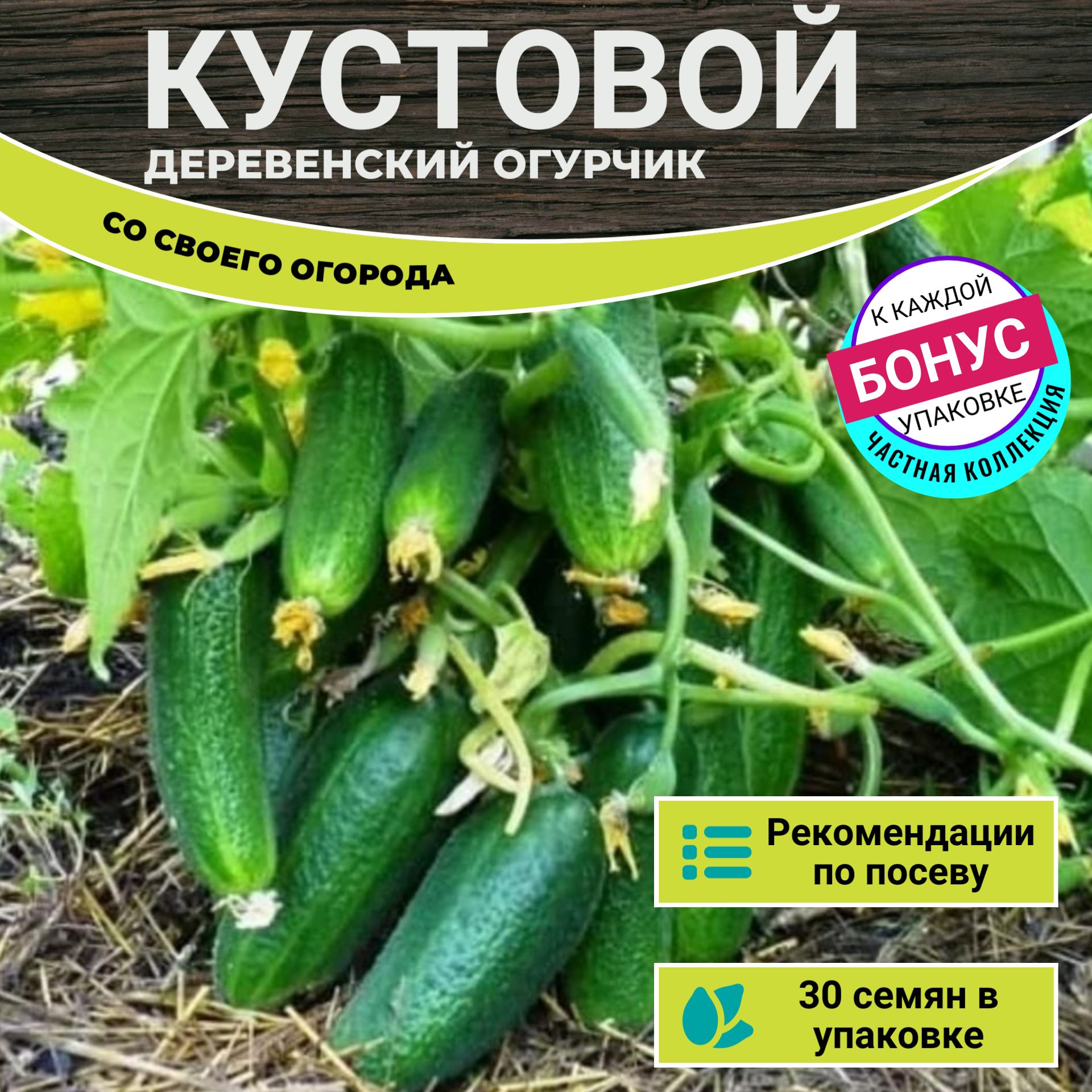 Деревенский Огурчик Кустовой семена 30шт + Бонус + Рекомендации по посеву БЕСПЛАТНО!