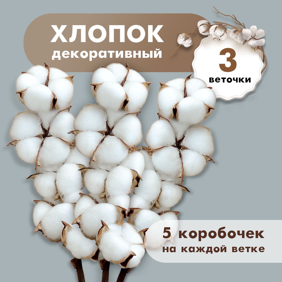 Сухоцветы Хлопок, 15 шт купить по выгодной цене в интернет-магазине OZON  (1370290447)
