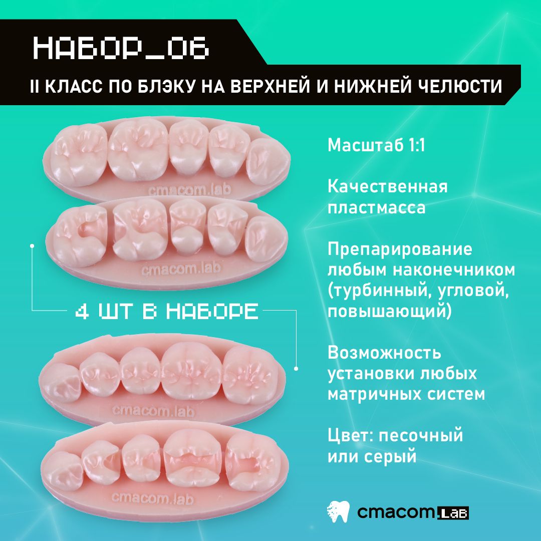 Набор#6 Модели для реставрации зубов/4 штуки/8 зубов/тренировочные модели для обработки мануальных навыков стоматологов