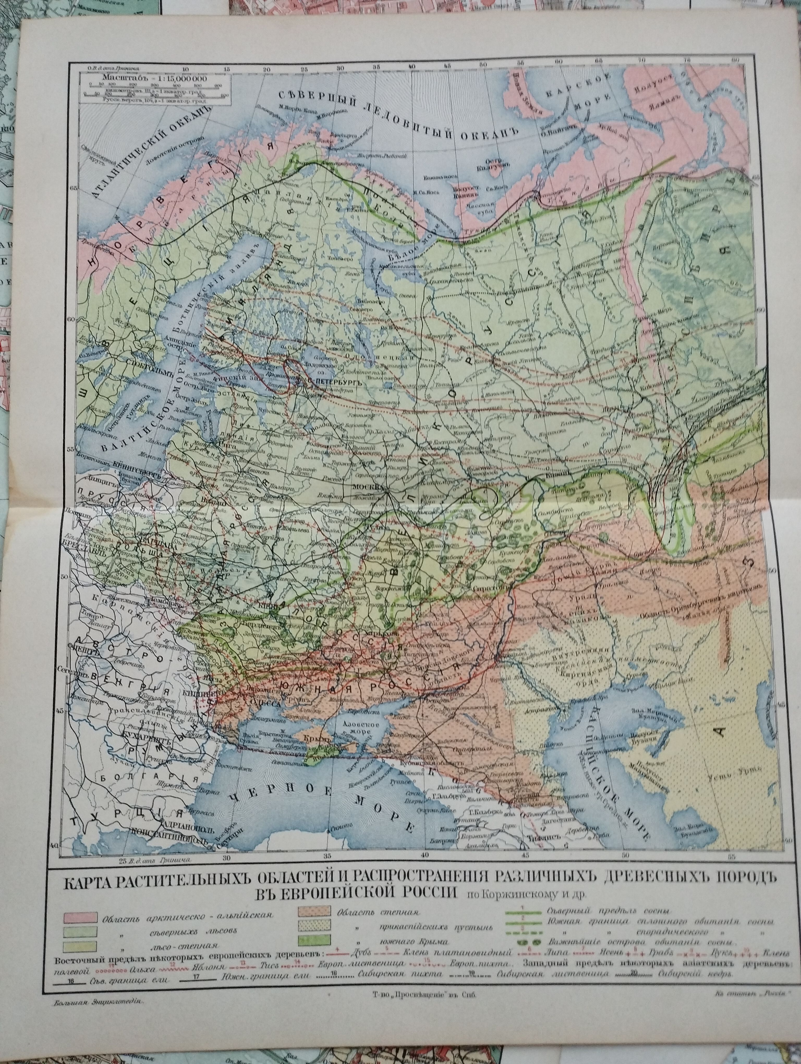 Географическая карта. Растительность России. 1905 год