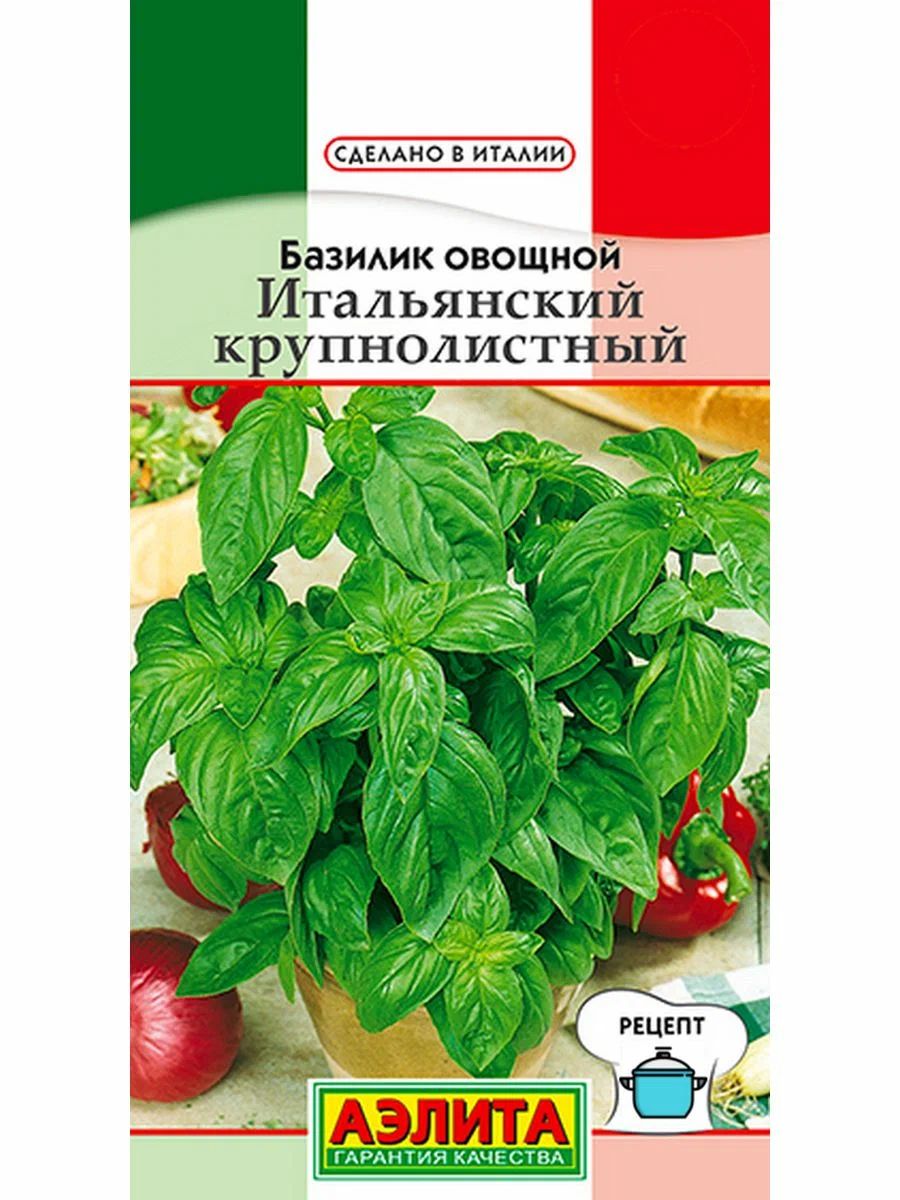 Базилик, Пряные травы Аэлита 1 - купить по выгодным ценам в  интернет-магазине OZON (1549286156)