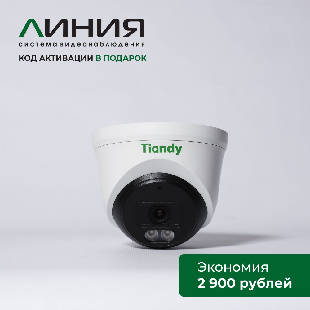 IP-камераTiandyAKTC-C320NOEMLineспрограммнымобеспечениемЛиниявкомплекте