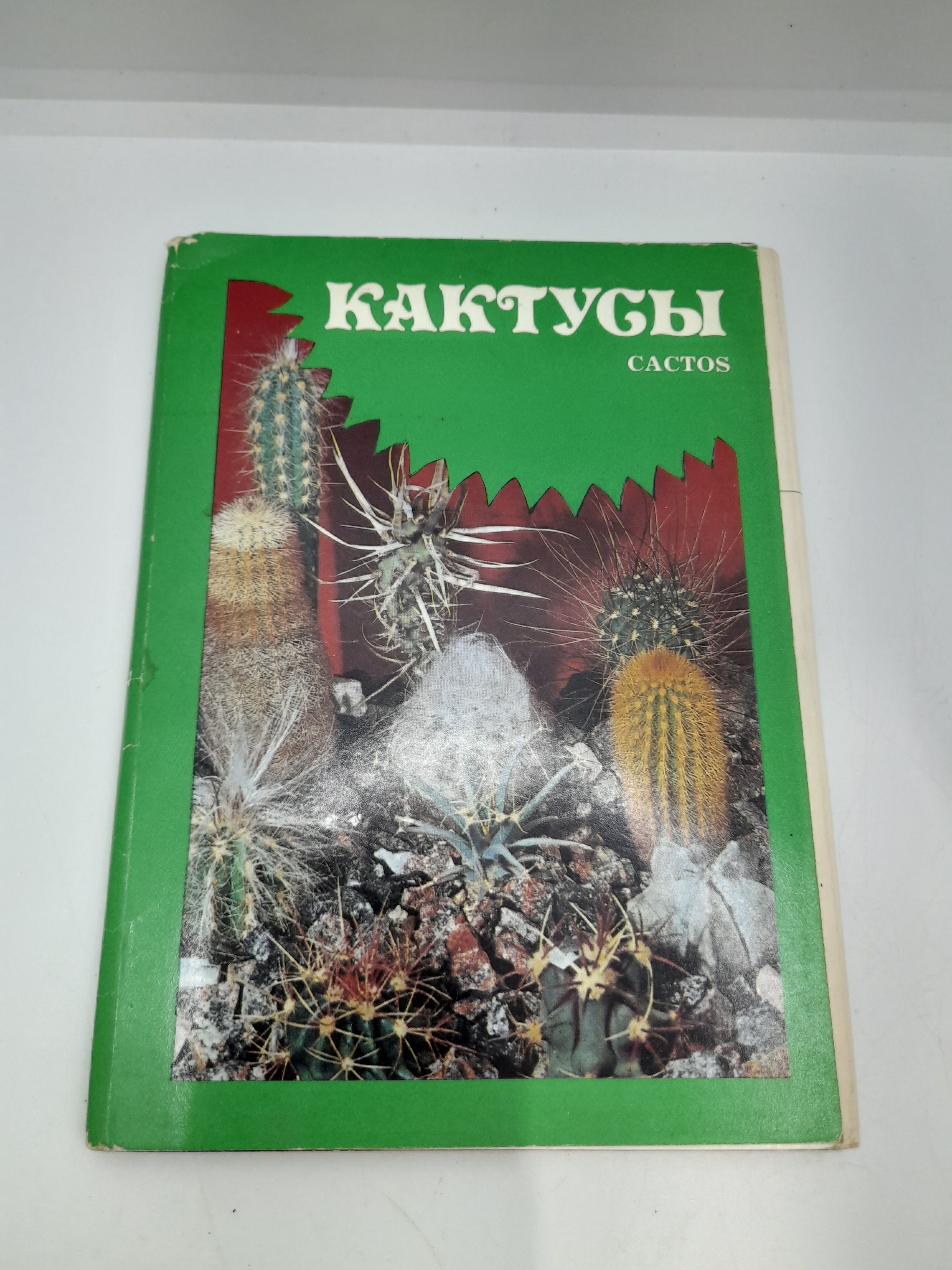 Винтажный советский набор открыток "Кактусы", СССР