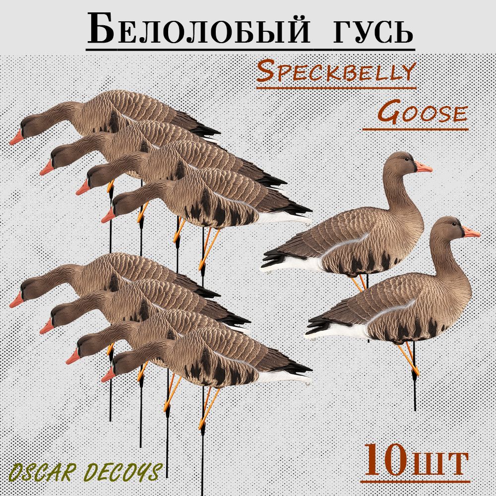 Чучело гусей для охоты Белолобый гусь Speckbelly Goose, мягкий пластик 10шт (8+2)