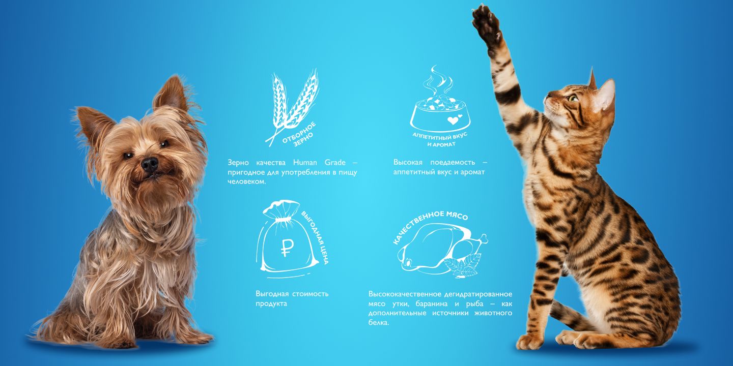 Корм сухой для собак Brit PREMIUM Dog Adult Medium, с индейкой и телят(图4)