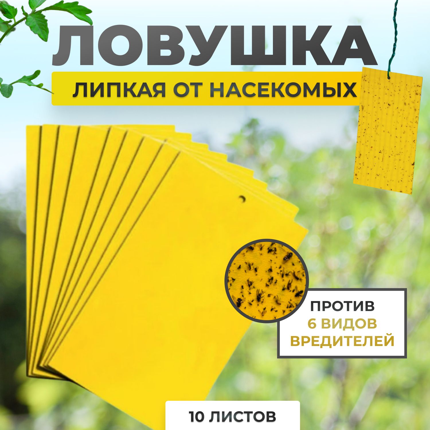 Ловушка липкая...