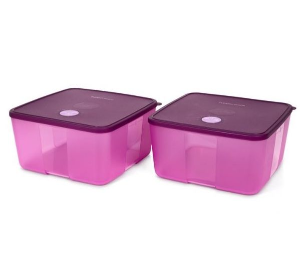 Контейнер"Системахолодильник"Tupperware,3.8л,2шт.