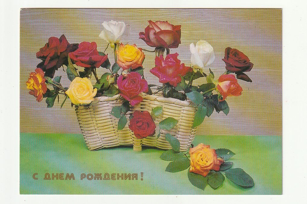 Открытка СССР 1988 С Днем рождения. Киндрова