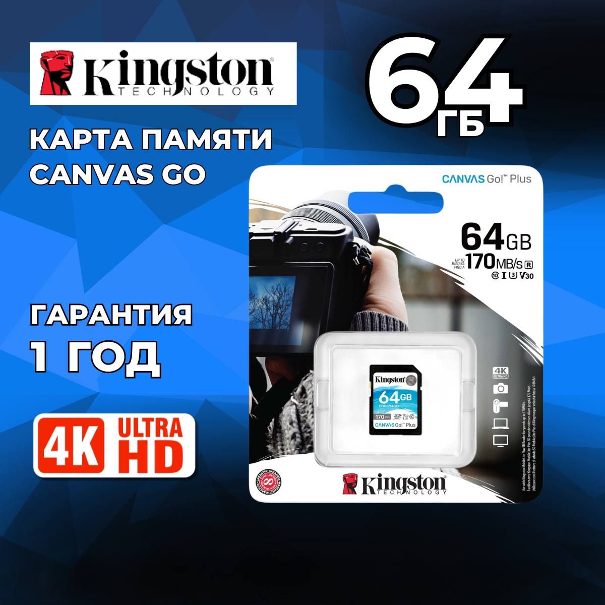 KingstonКартапамятиCanvasGOPlus64ГБ(SDG3/64GB)