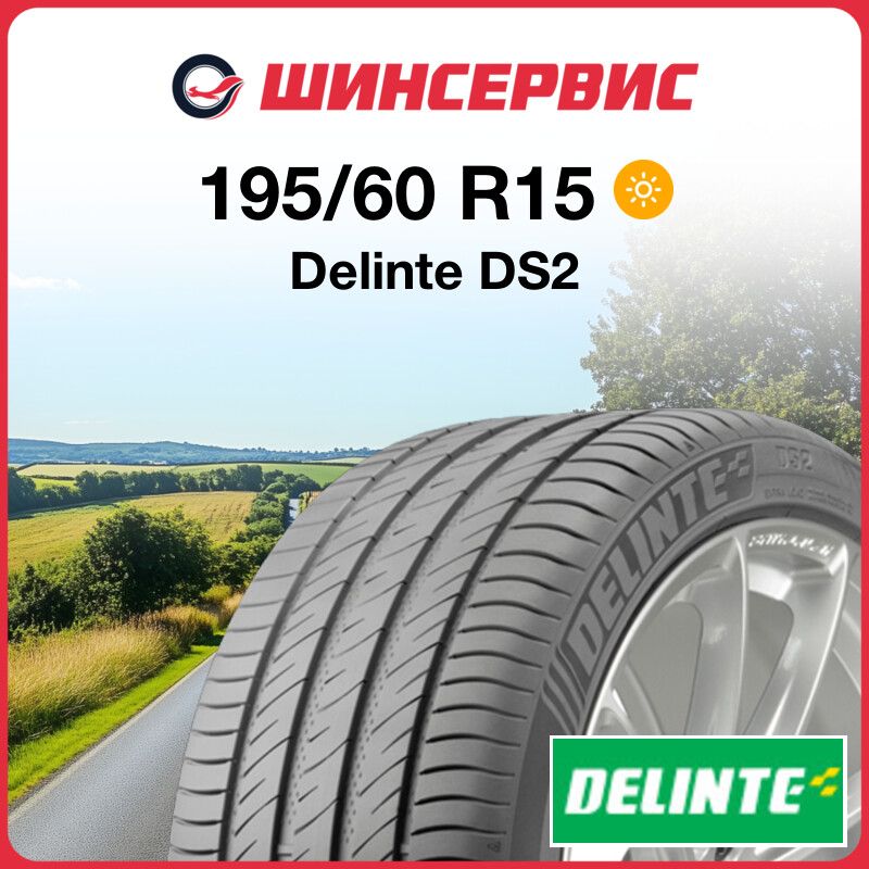 DelinteDS2Шинылетние195/60R1588V