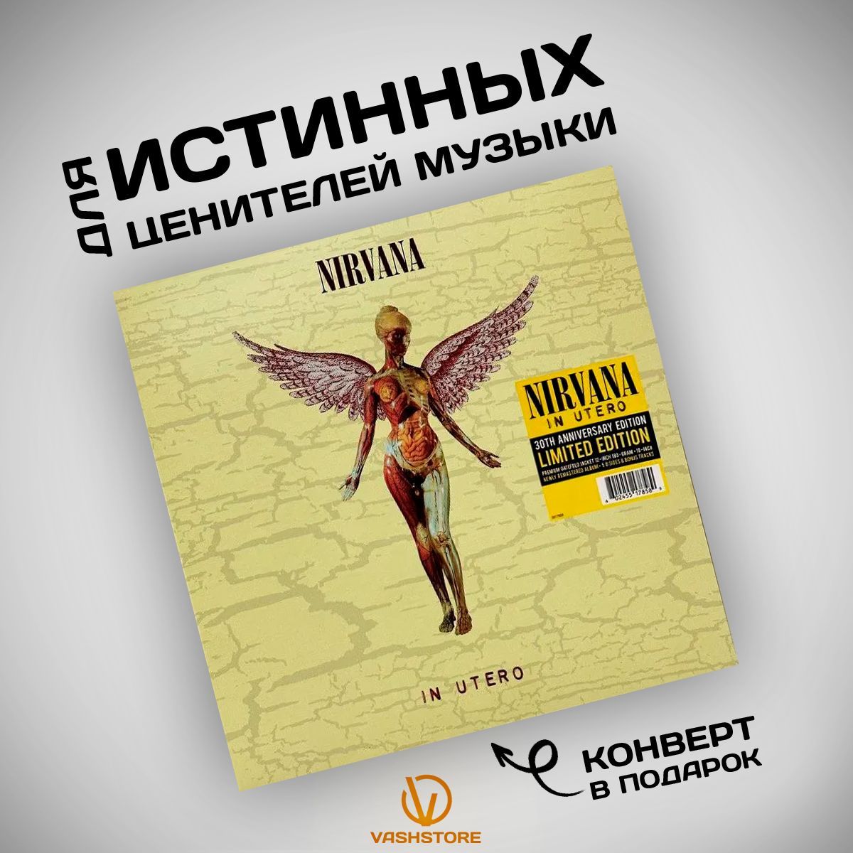 Виниловая пластинка Nirvana - In Utero 30th anniversary (LP)