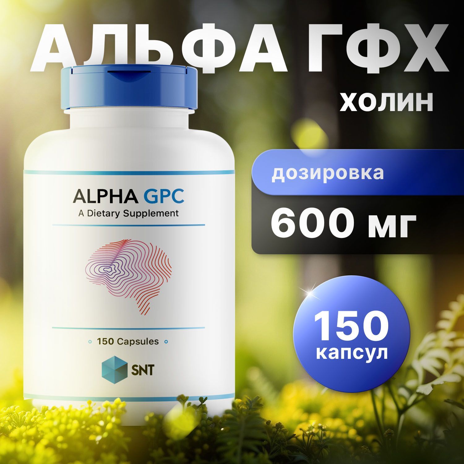 SNT Альфа Гфх, холин, Alpha GPC 150 капсул