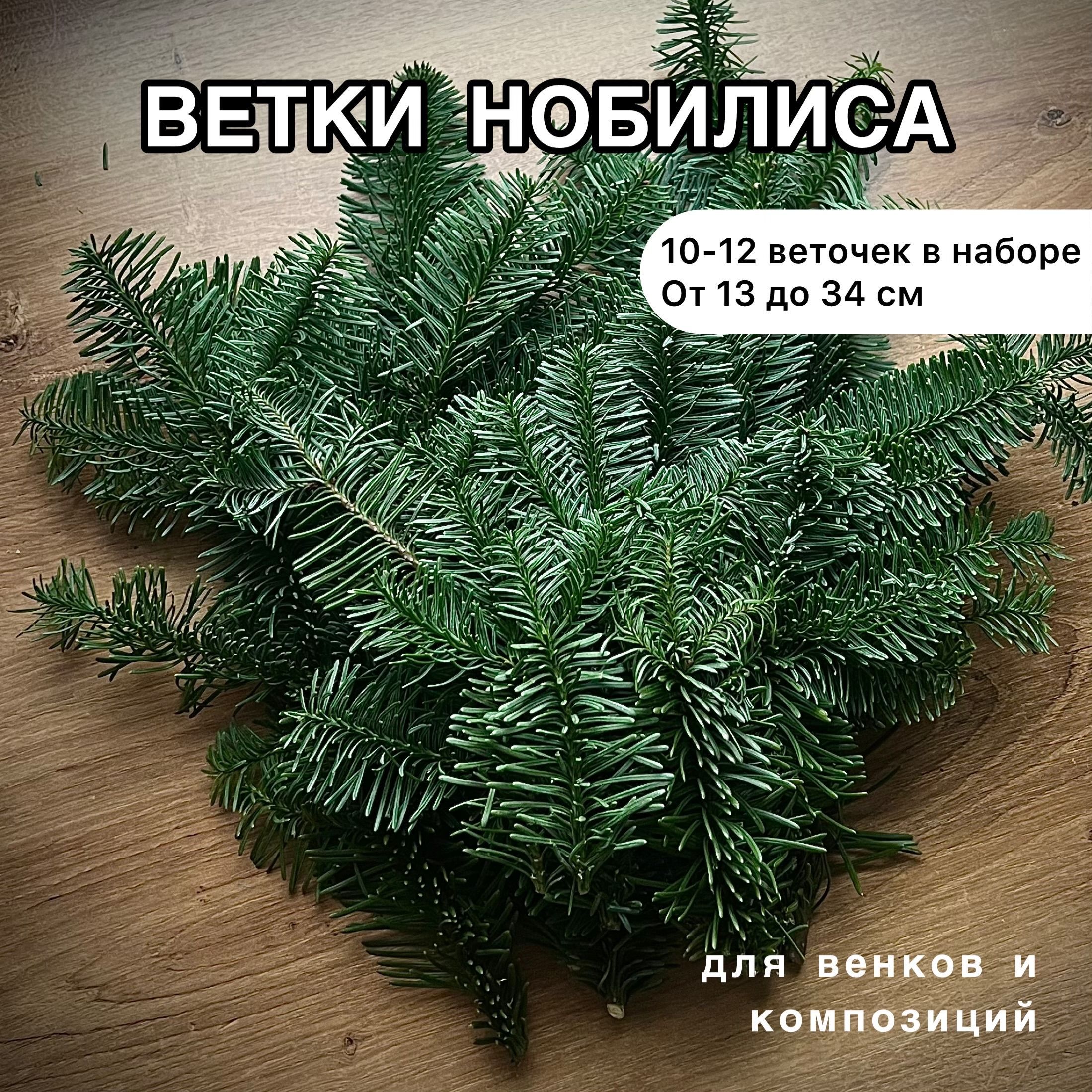 Нобилис набор веток