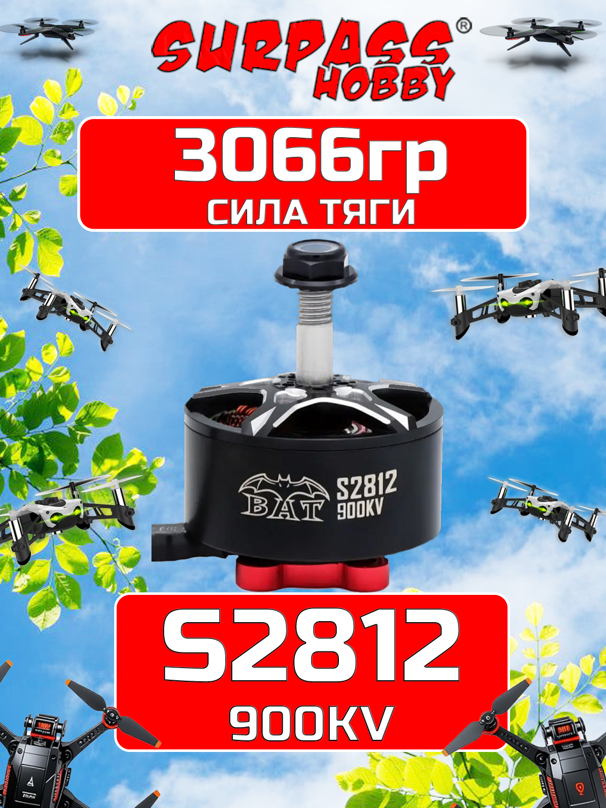 SurpassHobby S2812 900KV SurpassHobby S2812 900KV