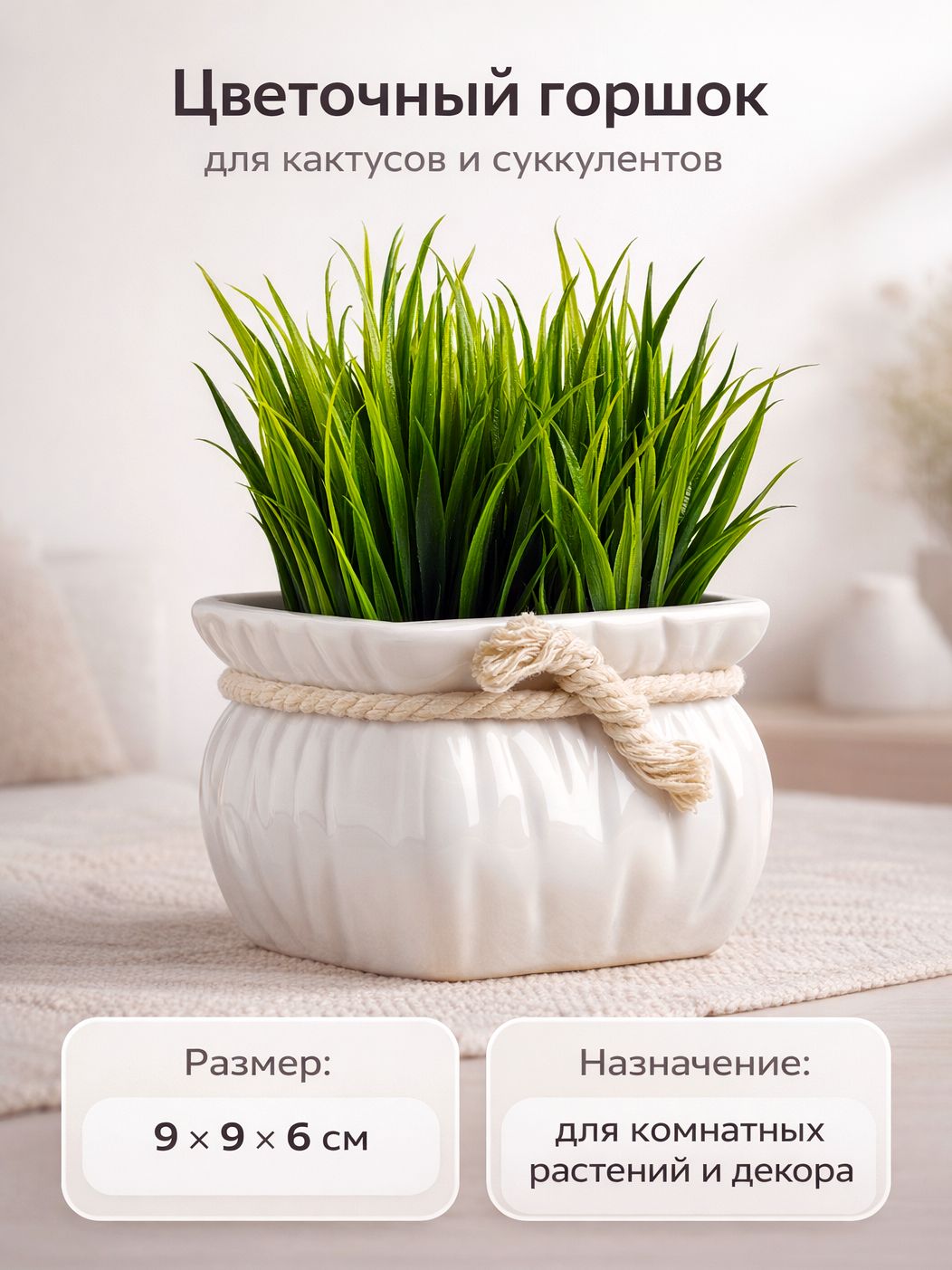 Кашпо 9x9x6 см, 2 шт для суккулентов и кактусов