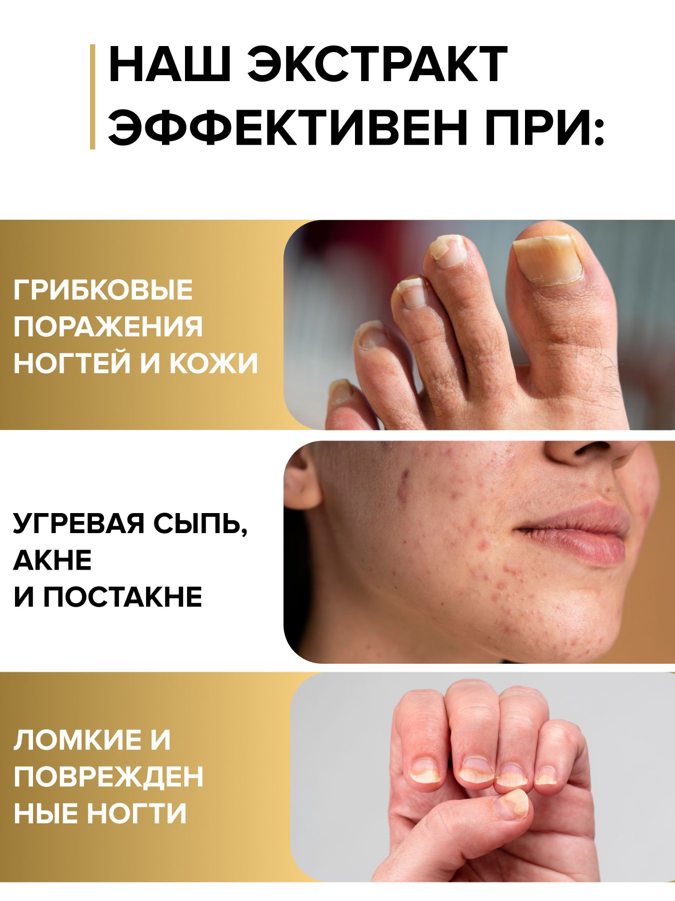 Масло Монарды