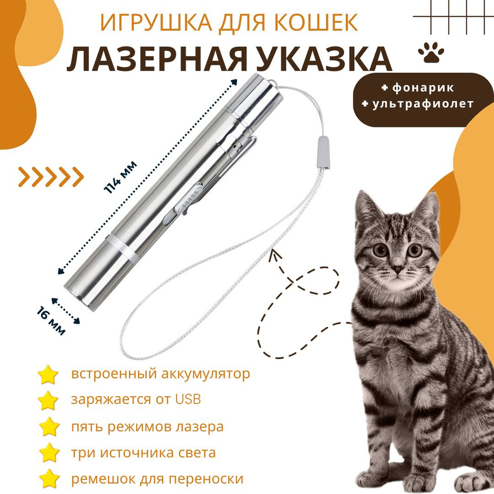 Лазерная указка, игрушка для кошек, USB зарядка, фонарик, ультрафиолет -  купить с доставкой по выгодным ценам в интернет-магазине OZON (1411697761)