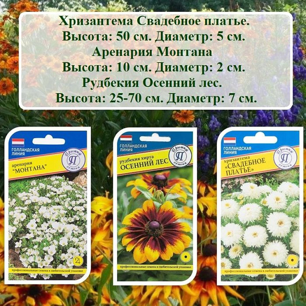 Хризантемы однолетние, Рудбекии однолетние Престиж-Семена ЦВЕТОВ_3ПР ...
