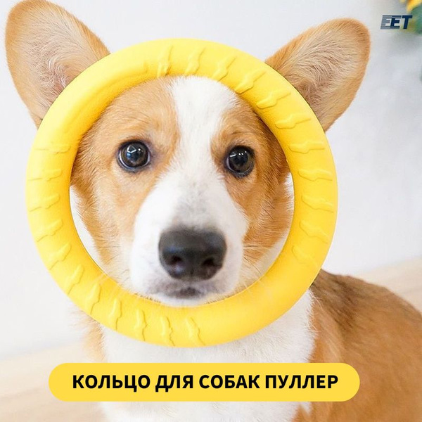 Игрушки для собак средних, крупных пород, для грызения, игр, мяч ...