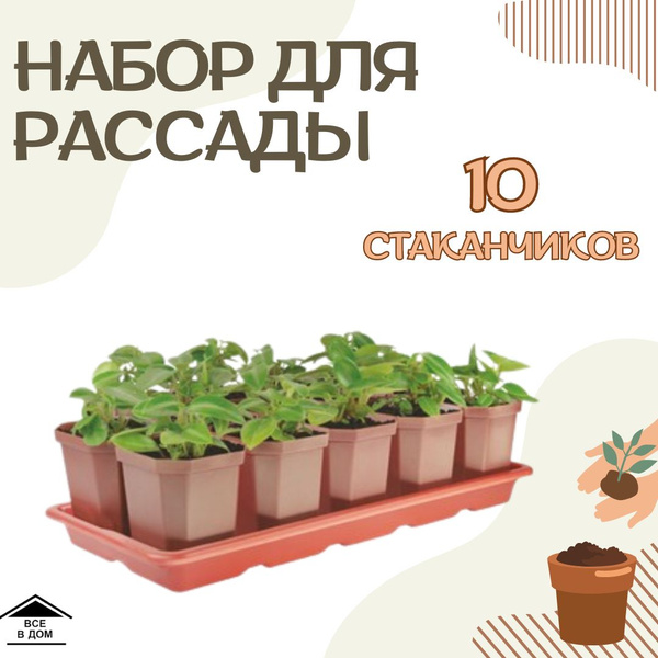 Набор для рассады 10 стаканов с поддоном 0.3л рассадник для выращивания ...